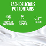 Activia Mango Strawberry Kiwi & Apricot Multipack Fruit Yoghurt 8 x 115g - McGrocer