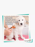 Cours de soins aux animaux en ligne Buyagift