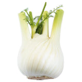 Wholegood Organic Fennel 350g GOODS M&S