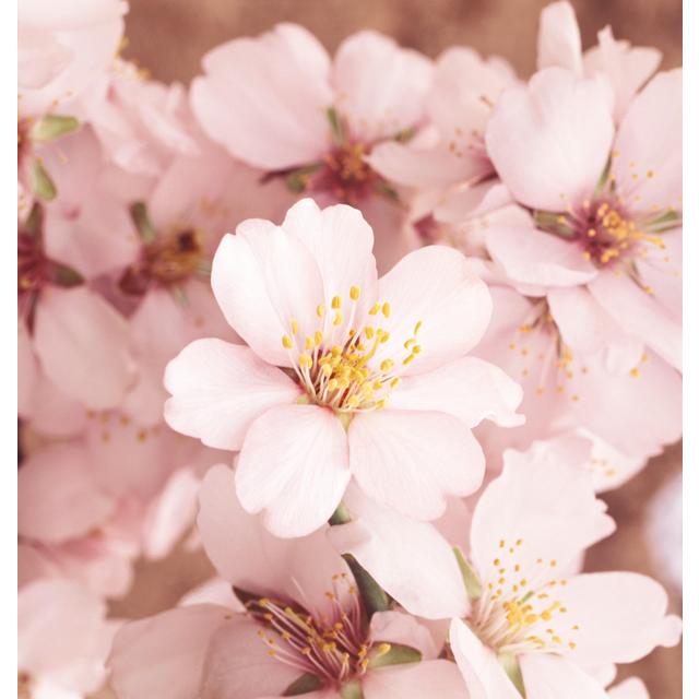 Weleda Natural Almond Sensitive Skin Body Wash Vegan 200ml GOODS M&S