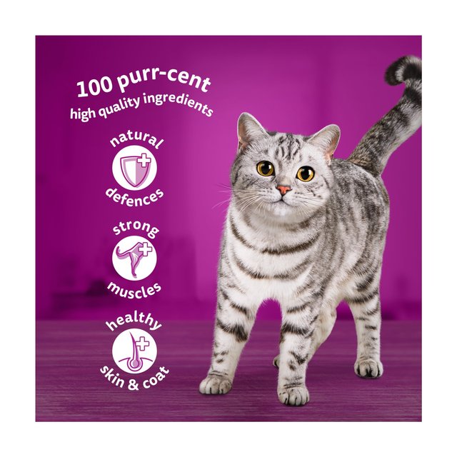 Whiskas 1+ Adult Wet Cat Food Pouches Meaty Meals in Gravy 80 x 85g GOODS M&S