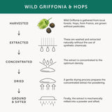 Together Night Time Marine Magnesium Complex Vegetable Capsules 60 per pack GOODS M&S