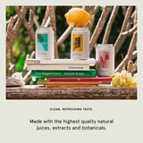 Something Nothing Mixed Pack 12 Cans Premium Soda