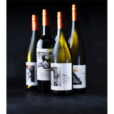 MS Found Feteasca Neagra