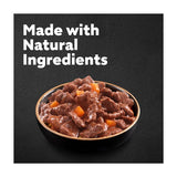 Cesar Deliciously Fresh Dog Food Pouches Mixed Selection in Sauce