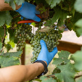 Mazzetti Chilli Balsamic Glaze