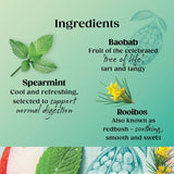 Twinings Superblends Digest with Spearmint Apple Rooibos