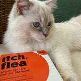 Itch Flea Tick Spot On Treatment For Cats