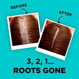 LOreal Paris Magic Retouch 3 Brown