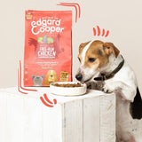 Edgard Cooper Senior Grain Free Dry Dog Food Free-Run Chicken Salmon