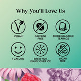 Twinings Superblends Immune Support Blackcurrant Raspberry