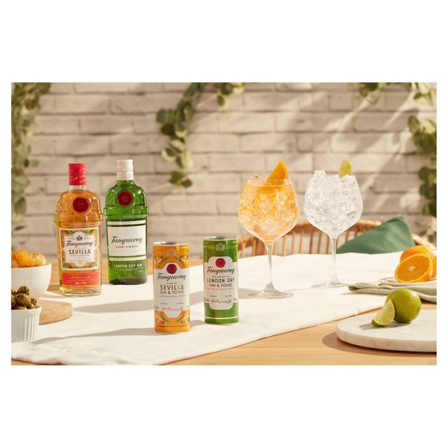 Tanqueray London Dry Gin & Tonic Ready to Drink Can 250ml GOODS M&S