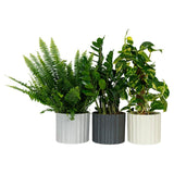 The Floral Collection Large Foliage in Ceramic