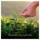 Airwick Botanica Reed Caribbean Vetiver & Sandalwood 80ml - McGrocer