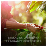 Airwick Botanica Reed Pineapple & Tunisian Rosemary 80ml - McGrocer