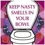 Airwick ViPoo Fruity Pin Up Toilet Spray 55ml - McGrocer