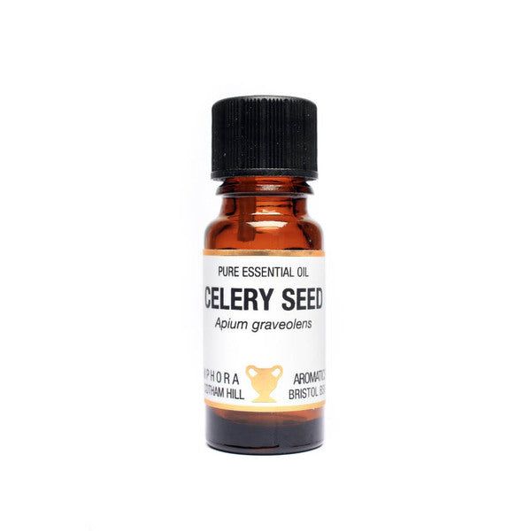 Amphora Aromatics Celery Seed Essential Oil 10ml - McGrocer