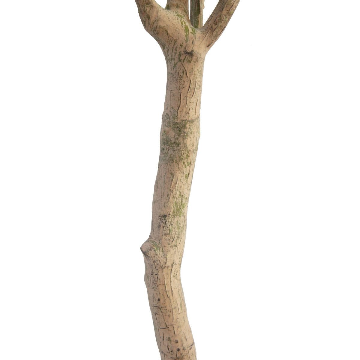 Artificial 6.5ft Olive Tree in Planter - McGrocer