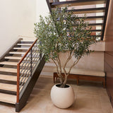 Artificial 8ft Olive Tree in Planter - McGrocer