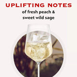 Asti Martini Sparkling Italian Wine 75cl - McGrocer