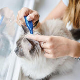 Beaphar CatComfort Calming Spot-On for Cats 3 per pack - McGrocer