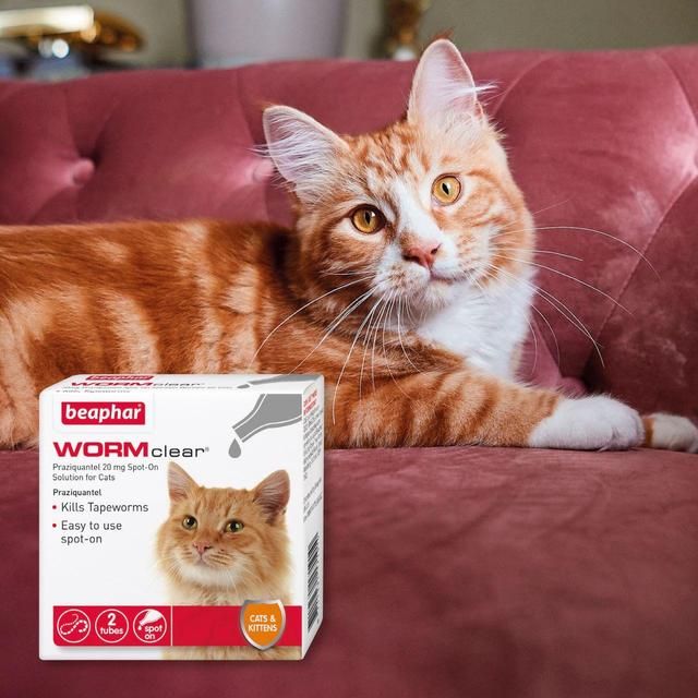 Beaphar WORMclear Worming Spot-On for Cats 6 per pack - McGrocer
