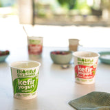 Biotiful Kefir Yogurt Natural 350g - McGrocer
