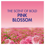 Bold 2In1 Washing Liquid Gel Pink Blossom 40 Washes 1320ml - McGrocer