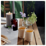 Brown Bio Bagasse Cups 10 per pack