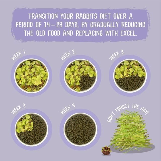 Burgess Excel Indoor Rabbit Nuggets 10kg