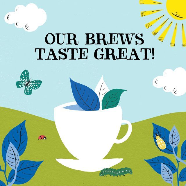 Clipper Organic Naturally Decaffeinated Tea Bags 80 per pack