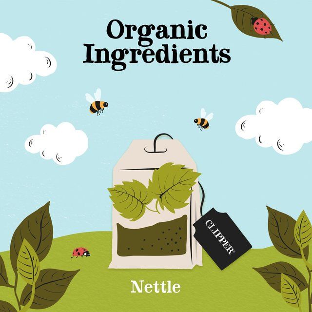 Clipper Organic Nettle Teabags 20 per pack