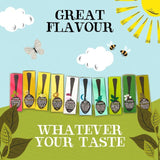 Clipper Organic Nettle Teabags 20 per pack