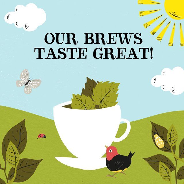 Clipper Organic Nettle Teabags 20 per pack