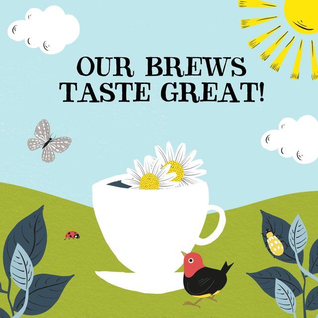 Clipper Organic Sleep Easy Infusion Tea Bags 20 per pack