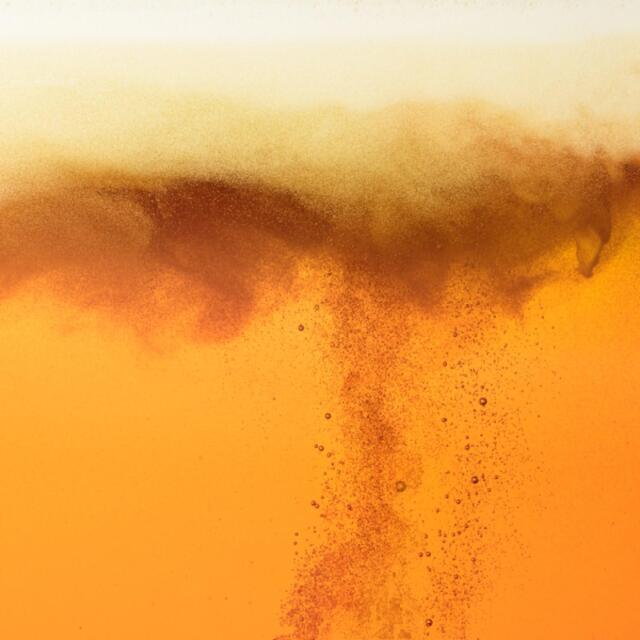 BrewDog Punk IPA 4 x 330ml - McGrocer