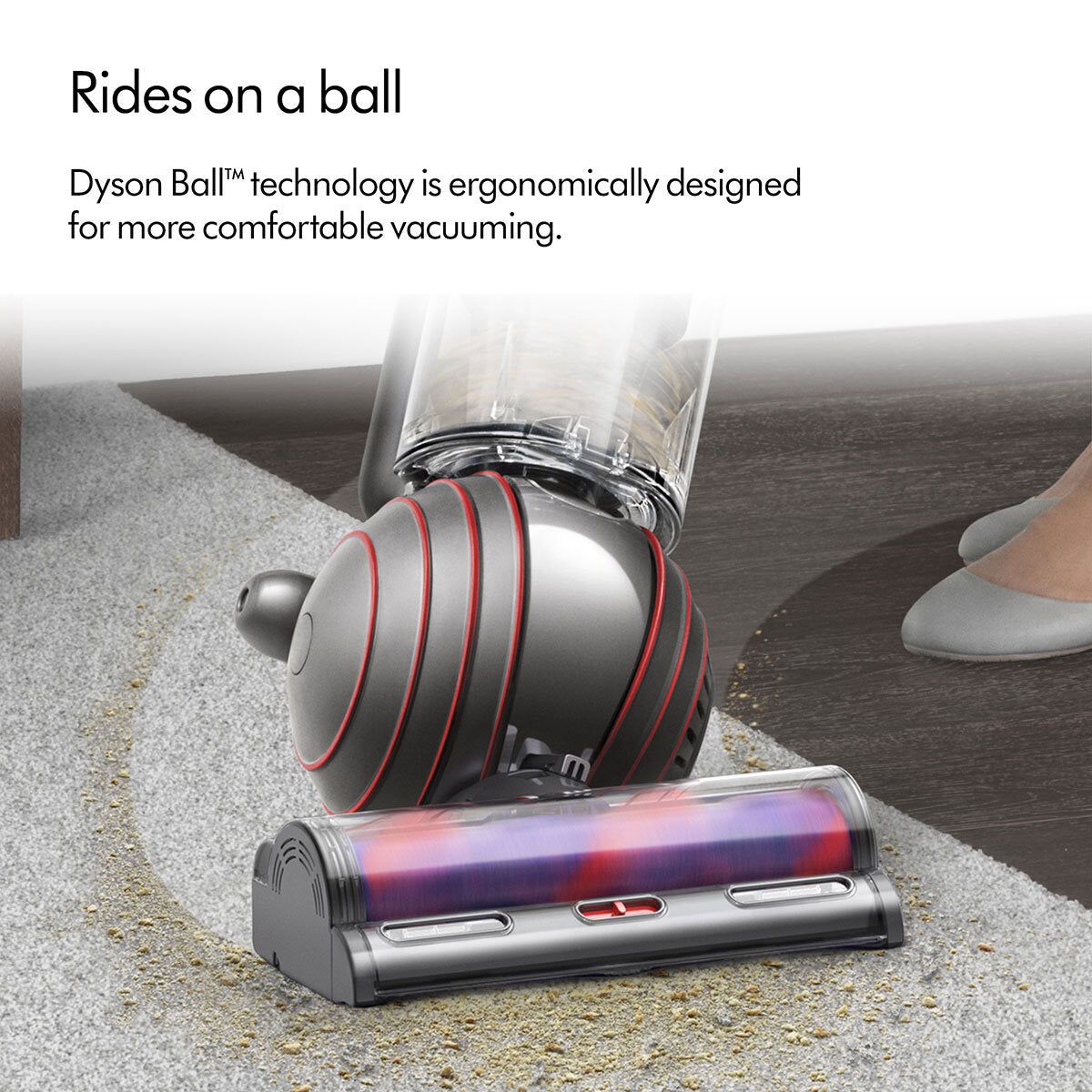 Dyson Ball™ Animal Upright Vacuum Cleaner with Whole Home Cleaning Kit, UP32