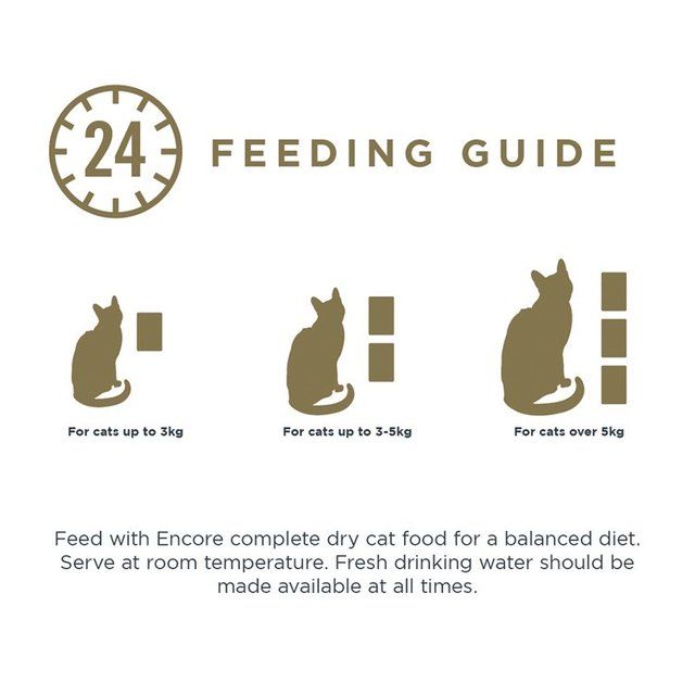 Encore Fish Selection Cat Pouch in Jelly 5 x 50g