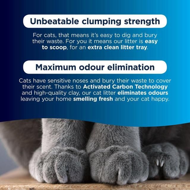 Ever Clean Extra Strong Unscented Clumping Cat Litter 10L