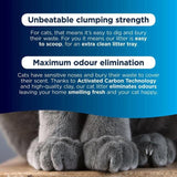 Ever Clean Extra Strong Unscented Clumping Cat Litter 10L