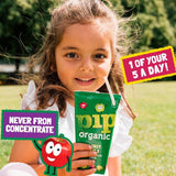 Pip Organic Cloudy Apple Juice Cartons 4 x 180ml - McGrocer