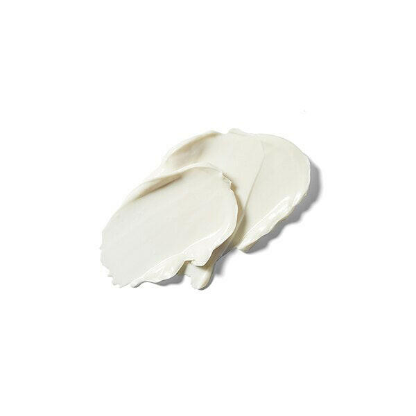 Weleda Skin Food Night Cream - 40Ml GOODS Superdrug