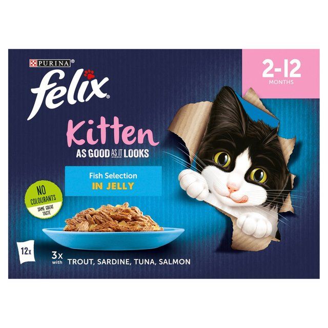 Felix As Good As it Looks Kitten Fish in Jelly Wet Cat Food 12 x 100g