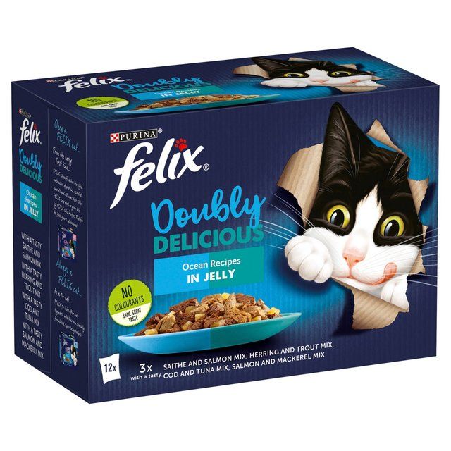 Felix Doubly Delicious Ocean Recipes Wet Cat Food 12 x 100g