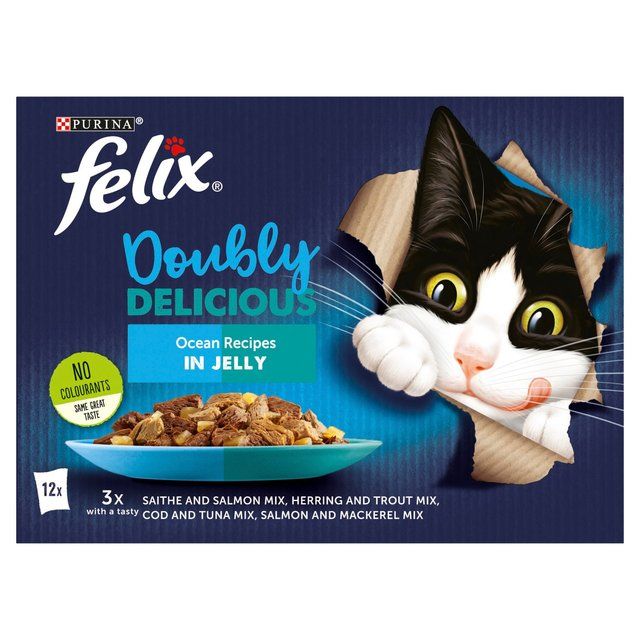 Felix Doubly Delicious Ocean Recipes Wet Cat Food 12 x 100g
