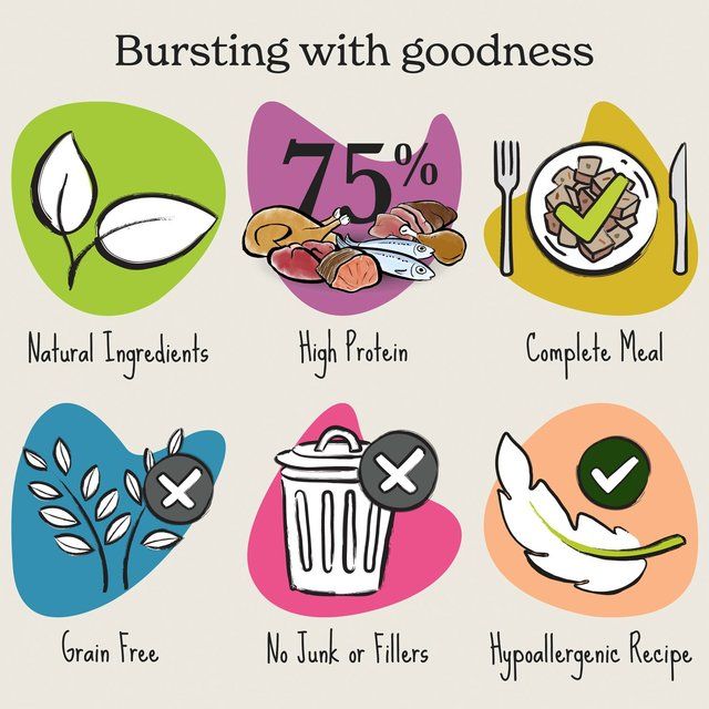 Forthglade Complete Senior Grain Free Lamb with Butternut Squash & Veg 395g