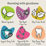 Forthglade Natural Plant Based Dental Sticks 5 per pack