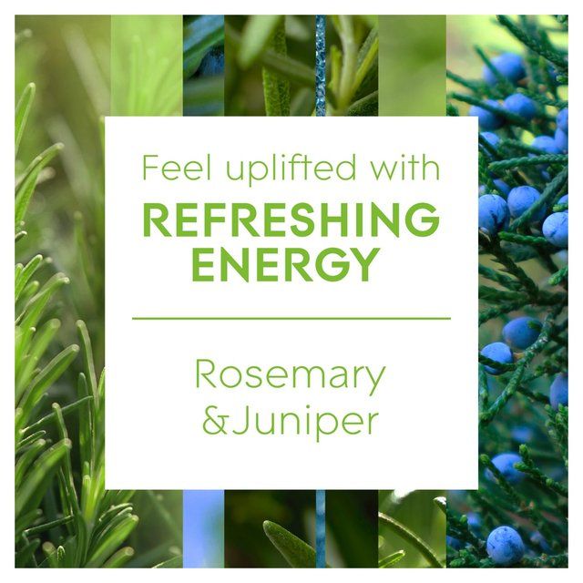 Glade Aromatherapy Reed Diffuser Refreshing Energy 80ml