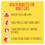 Go-Cat Crunchy & Tender Chicken and Beef Dry Cat Food 900g