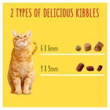 Go-Cat Crunchy & Tender Salmon and Tuna Dry Cat Food 900g